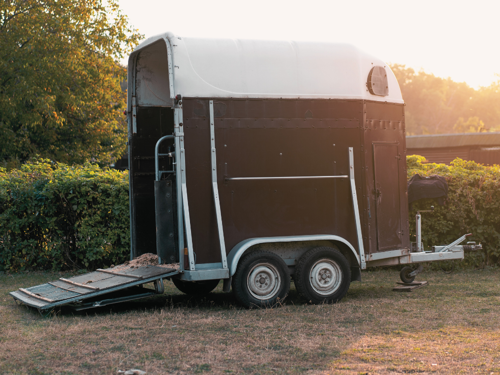 A brown horse trailer featuring a white roof and lowered ramp, illuminated by bright sunlight.