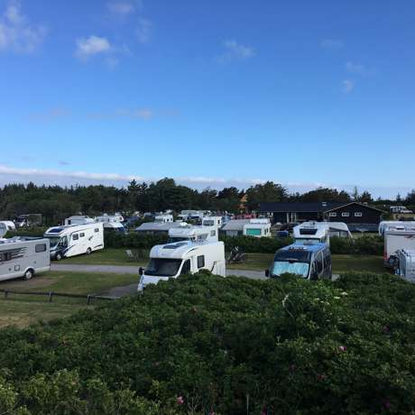 Various motorhomes arranged in a campground, surrounded by trees and nature.