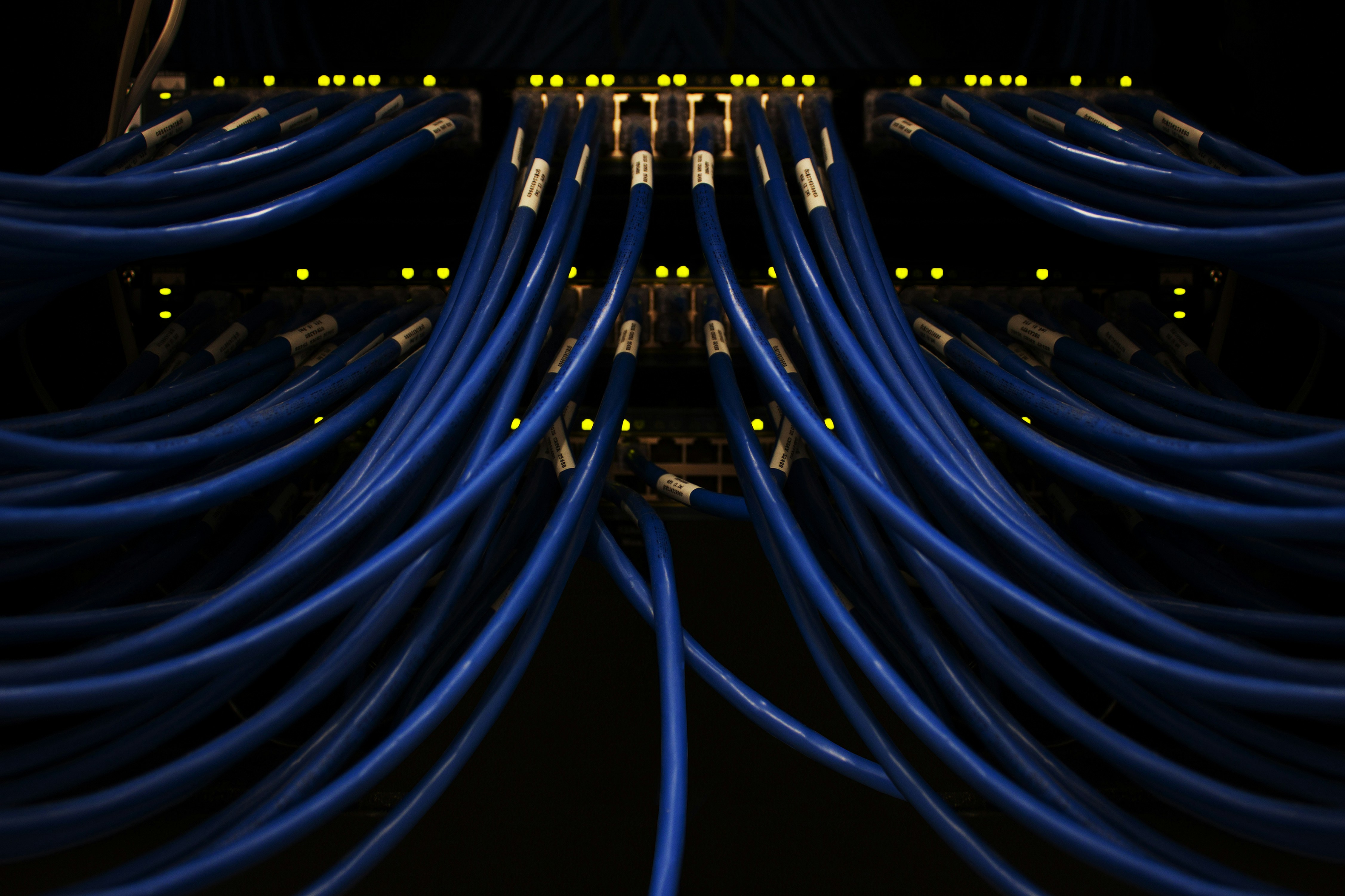 A cluster of blue network cables connected to data ports.